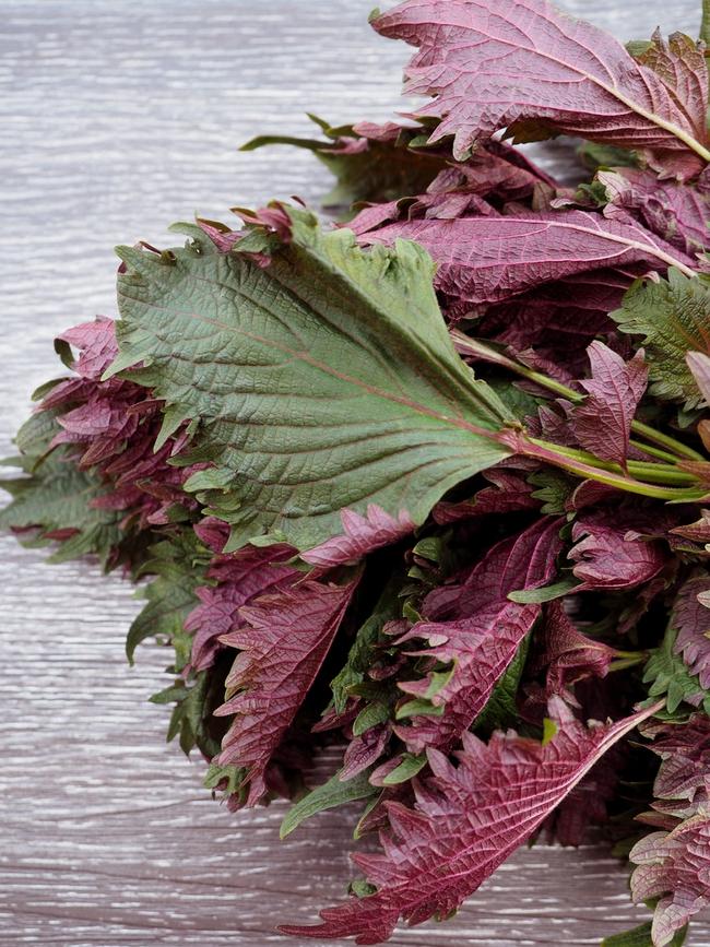 7 thay đổi khi mỗi ngày uống 1 cốc nước tía tô suốt 1 tuần-3