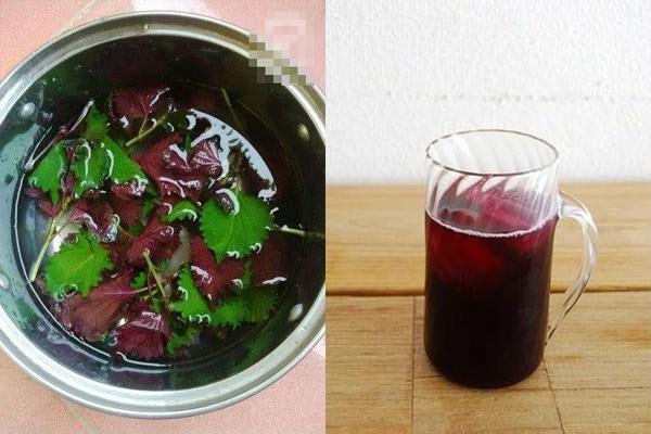 7 thay đổi khi mỗi ngày uống 1 cốc nước tía tô suốt 1 tuần-5