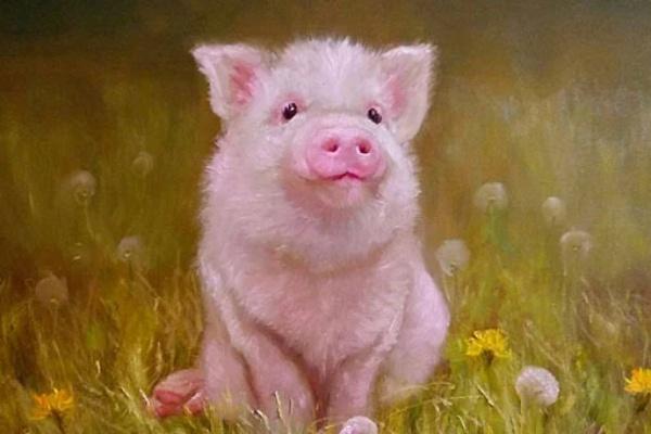 Tử vi tuần mới 12 con giáp 23/5/2022 - 29/5/2022: Ngọ gây rắc rối-5