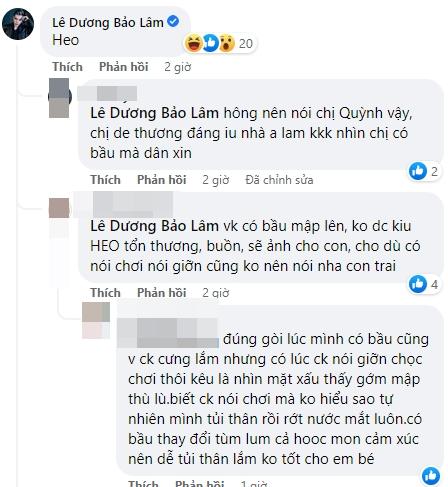 Lê Dương Bảo Lâm bị nhắc nhở khi gọi vợ bầu là heo-3