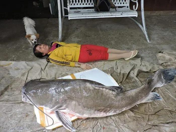 Những lần cá khủng sa lưới ngư dân Việt khiến dư luận ngỡ ngàng-4