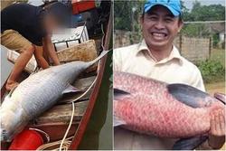 Những lần cá 'khủng' sa lưới ngư dân Việt khiến dư luận ngỡ ngàng