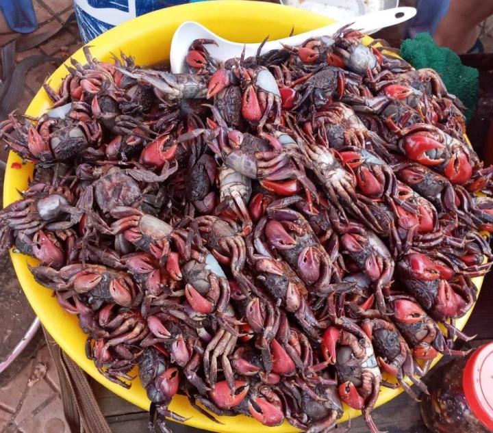 Ba khía trộn đơn giản nhưng gây nghiện, ăn ngày mưa đưa cơm phải biết-2