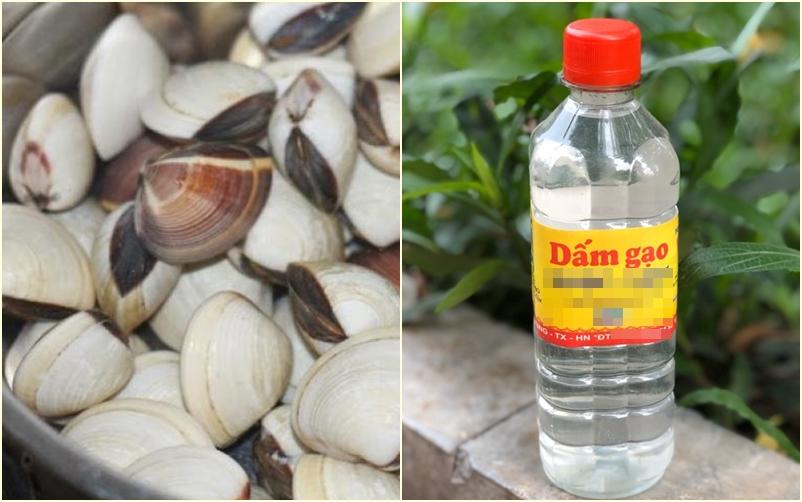 Làm sạch ngao với muối chưa đủ, thêm 1 thứ ắt nhả cát nhanh-4