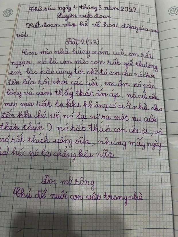 Bé gái viết văn tả mèo nhà hàng xóm nhưng con vật này... lạ lắm-1