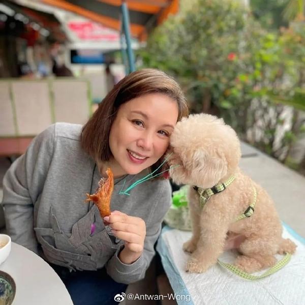 Vi Tiểu Bảo bản nữ duy nhất lịch sử: Visual át vía 7 bà vợ, U70 vẫn cực kỳ trẻ trung-7