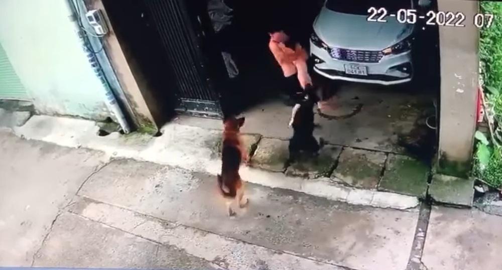 Bé gái bị 2 con chó tấn công, bố liều mạng giằng co để cứu con-2