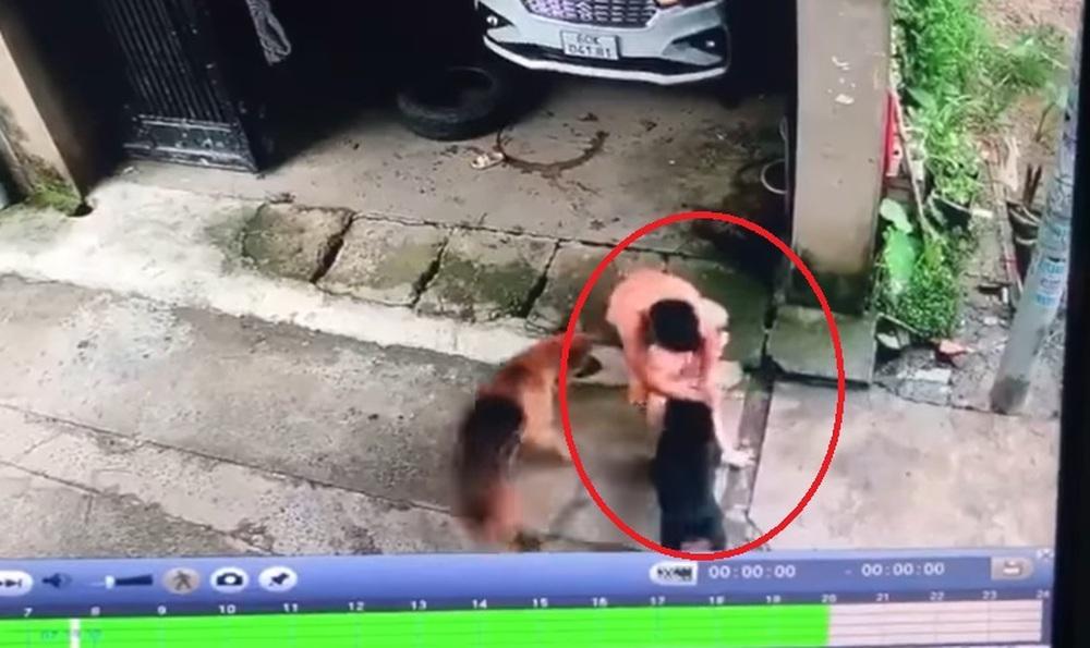 Bé gái bị 2 con chó tấn công, bố liều mạng giằng co để cứu con-3