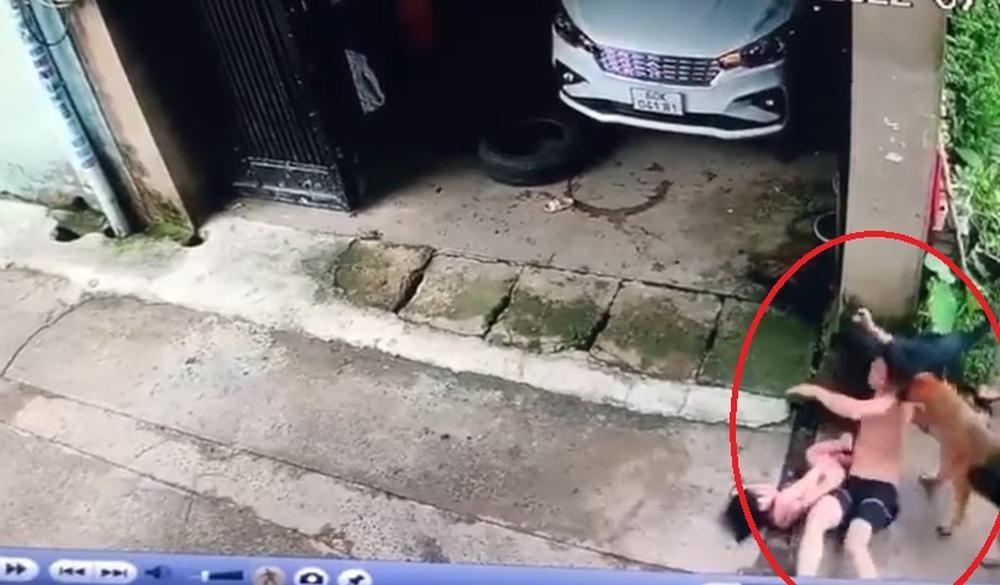 Bé gái bị 2 con chó tấn công, bố liều mạng giằng co để cứu con-5