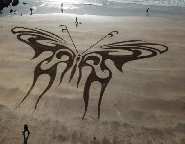 Phù thuỷ cát đam mê sáng tạo nhiều tranh đẹp trên các bãi biển-2