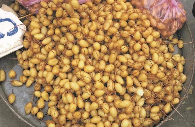 Loại củ giải nhiệt có tên lạ đời, được người Sài Gòn săn tìm mùa nóng-2