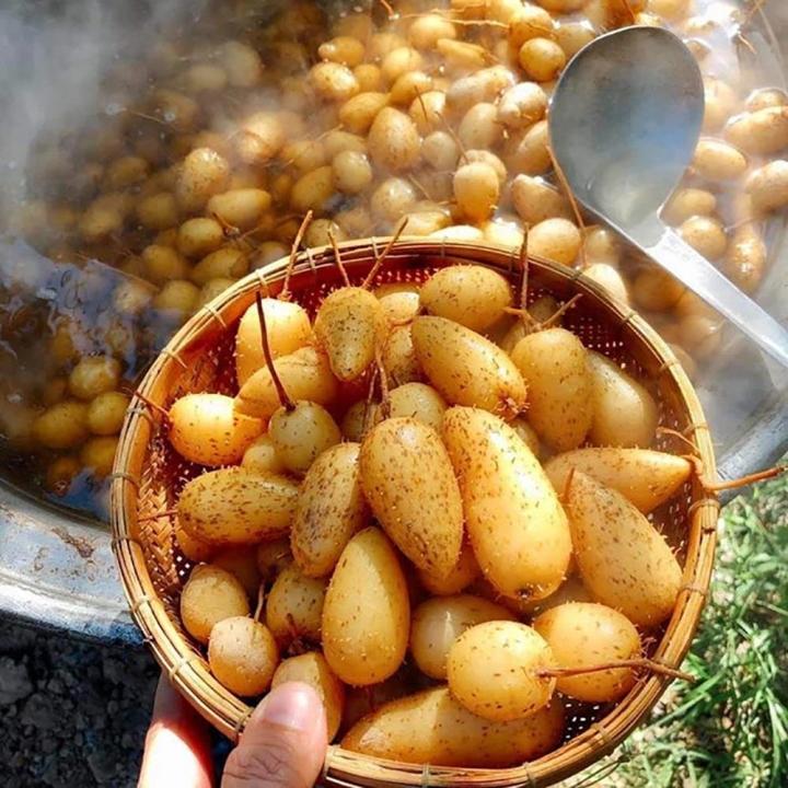 Loại củ giải nhiệt có tên lạ đời, được người Sài Gòn săn tìm mùa nóng-3