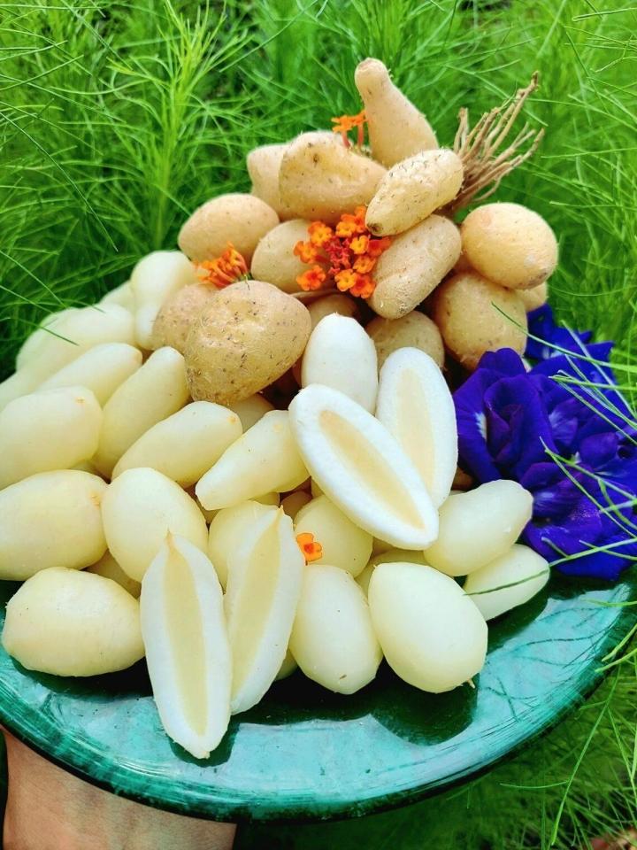 Loại củ giải nhiệt có tên lạ đời, được người Sài Gòn săn tìm mùa nóng-5