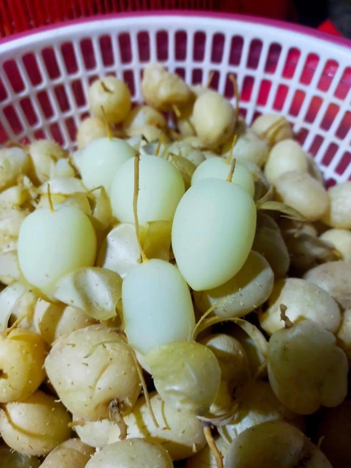 Loại củ giải nhiệt có tên lạ đời, được người Sài Gòn săn tìm mùa nóng-6