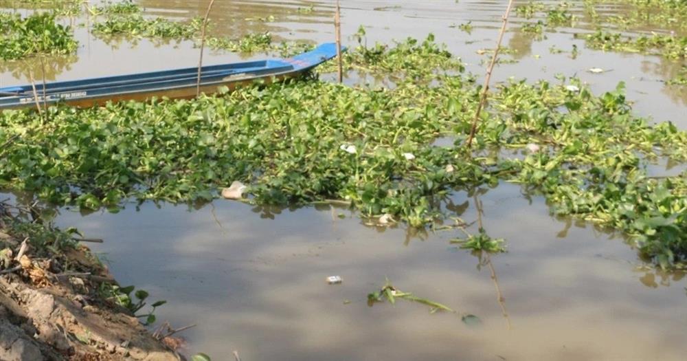 Saving a puppy that fell into a pond, two sisters tragically drowned-1