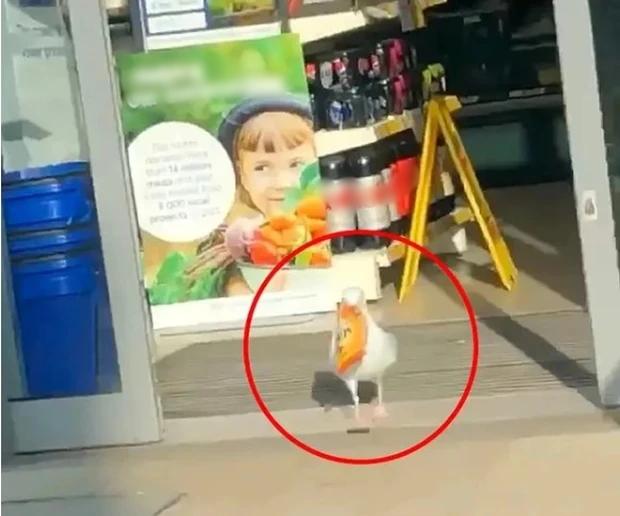 Kẻ gian ngang nhiên trộm đồ, nhân viên nhìn thấy chỉ đứng im chịu trận-1