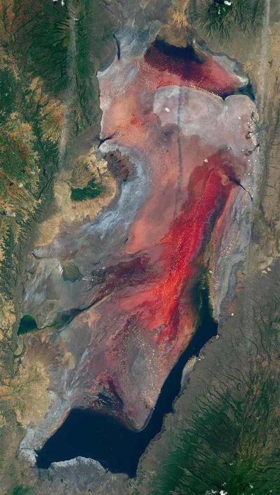 Hồ nước Tanzania sở hữu siêu năng lực biến sinh vật thành đá