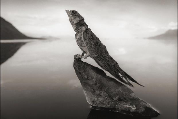 Hố nước sâu hun hút được ví như đường đến địa ngục-5