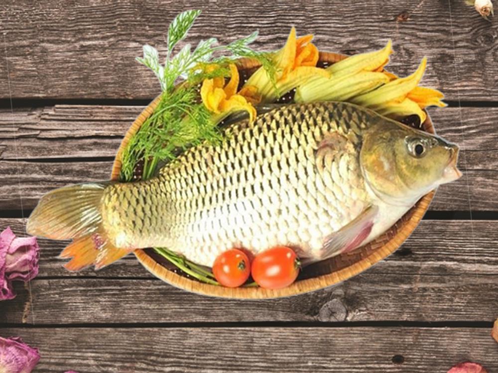 Có 4 loại cá giúp tăng IQ vùn vụt, người lớn lẫn trẻ nhỏ nên ăn-2