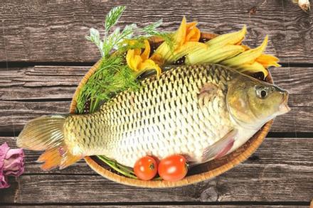 Có 4 loại cá giúp tăng IQ vùn vụt, người lớn lẫn trẻ nhỏ nên ăn