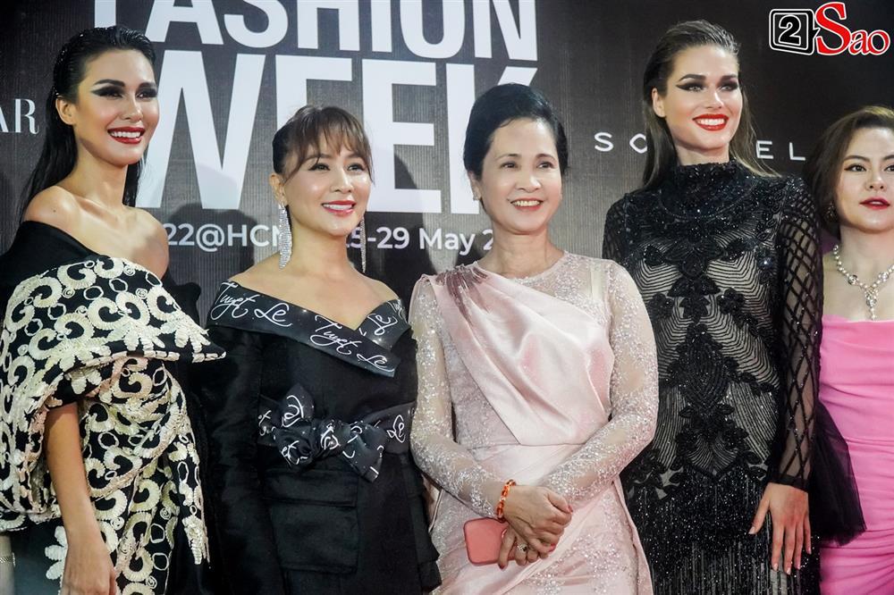 Trương Hồ Phương Nga xinh vẫn xu, Pha Lê già chát thảm đỏ-13