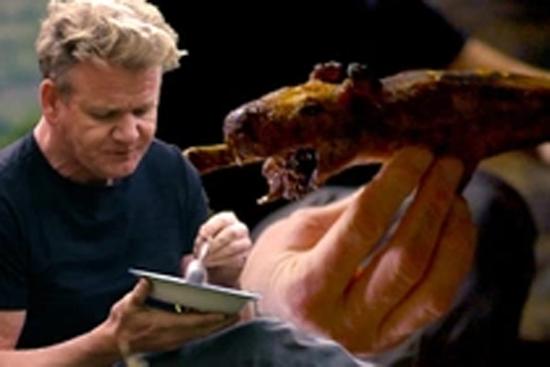 Gordon Ramsay ăn chuột lang nướng