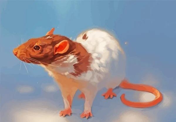 Phụ nữ thuộc 4 tuổi này là đại gia ngầm, bên ngoài giản dị bên trong nhiêu tiền-1