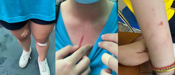 Phụ huynh livestream tố con bị đánh: Thông tin từ phía nhà trường-2