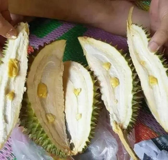 Team nghiện sầu riêng khóc thét vì những màn khui hàng để đời-2