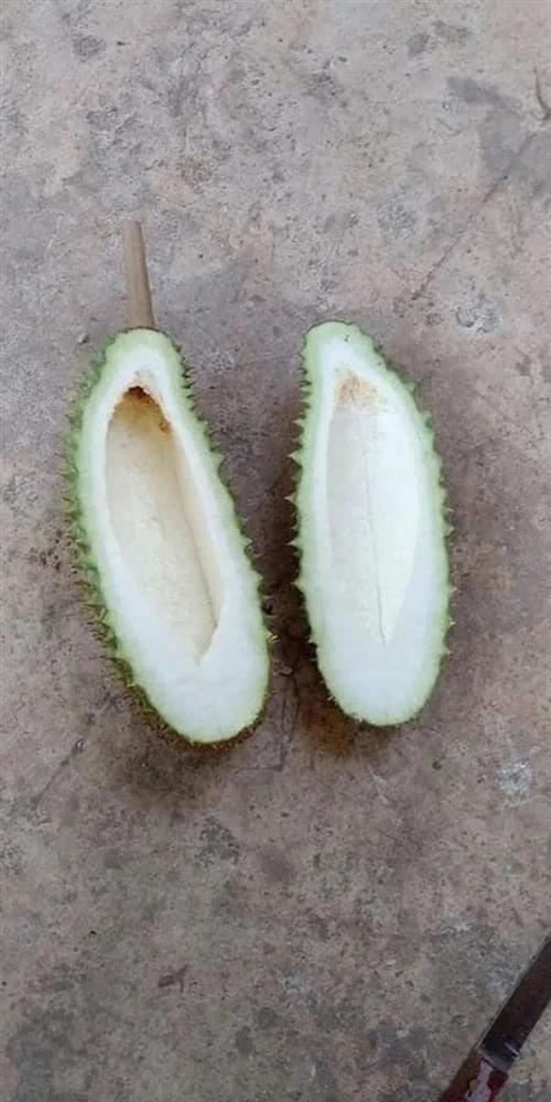 Team nghiện sầu riêng khóc thét vì những màn khui hàng để đời-3