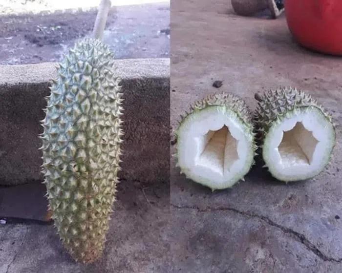 Team nghiện sầu riêng khóc thét vì những màn khui hàng để đời-4