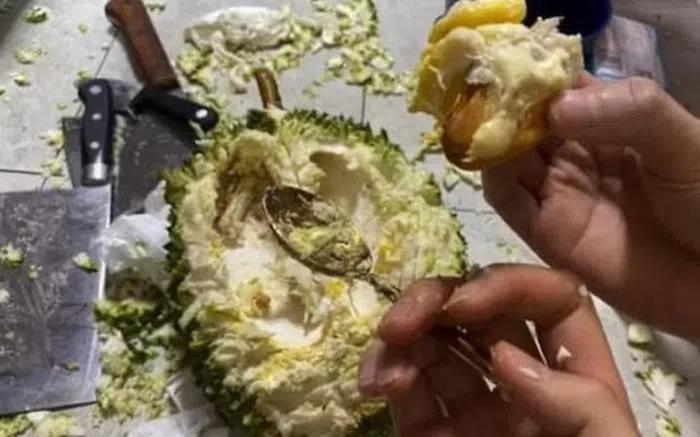 Team nghiện sầu riêng khóc thét vì những màn khui hàng để đời-7