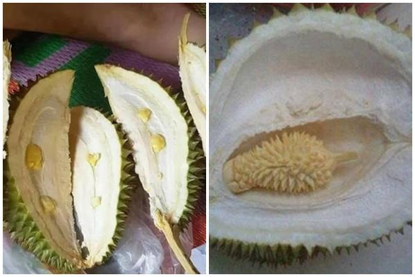 Hôi sầu riêng từ thuyền hàng bị lật, hơn 500 người xanh mặt nhập viện-4