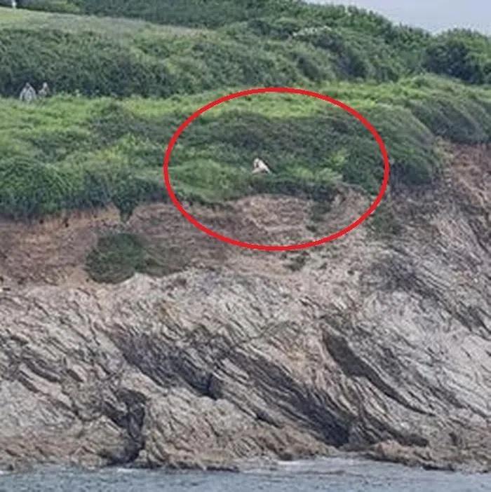 Cặp đôi ân ái bên vách đá như chốn không người giữa ban ngày-1