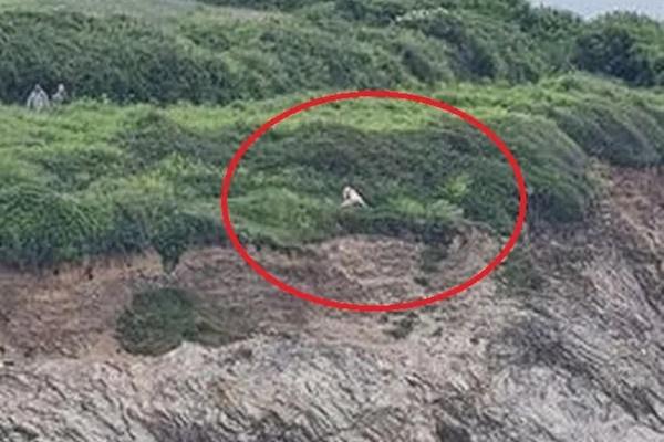 Cặp đôi mây mưa trước ban công, nữ chính bị bắt giam điều tra-2