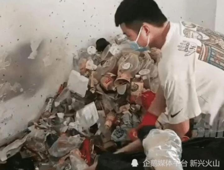 Thấy gián bò hôi rình, chủ nhà ngã vật khi mở cửa căn hộ cho thuê-1