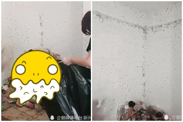 Thanh niên cuống cuồng đưa tiểu cường đang hấp hối đi cấp cứu-3