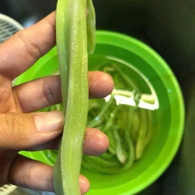 Việt Nam có 4 loại rau giá đắt hơn cả thịt cá-3