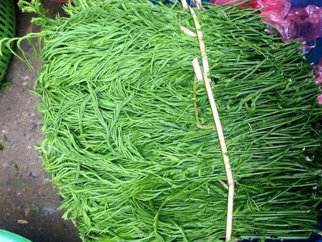 Việt Nam có 4 loại rau giá đắt hơn cả thịt cá-8