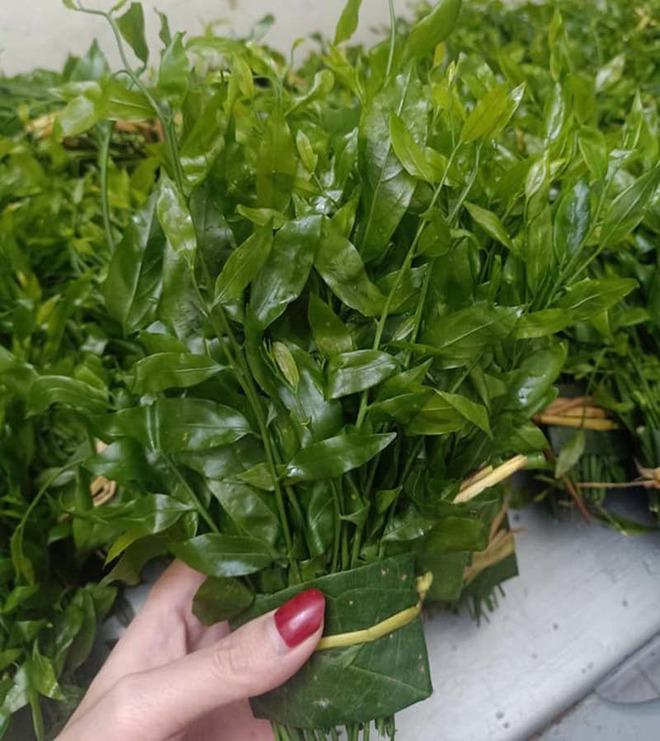 Việt Nam có 4 loại rau giá đắt hơn cả thịt cá-6