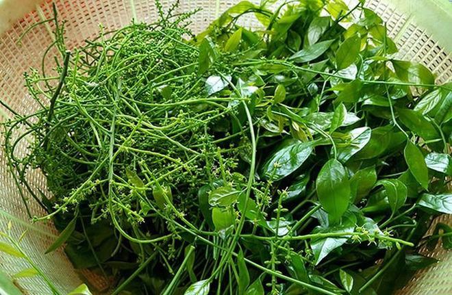 Việt Nam có 4 loại rau giá đắt hơn cả thịt cá-7