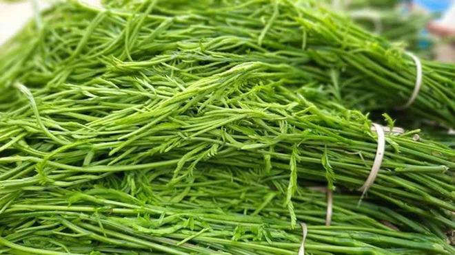 Việt Nam có 4 loại rau giá đắt hơn cả thịt cá-10