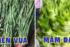 Việt Nam có 4 loại rau giá đắt hơn cả thịt cá