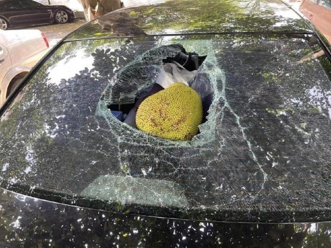 Quả mít vàng trong làng phá của, nhìn ảnh mà thương cho chủ xe-4