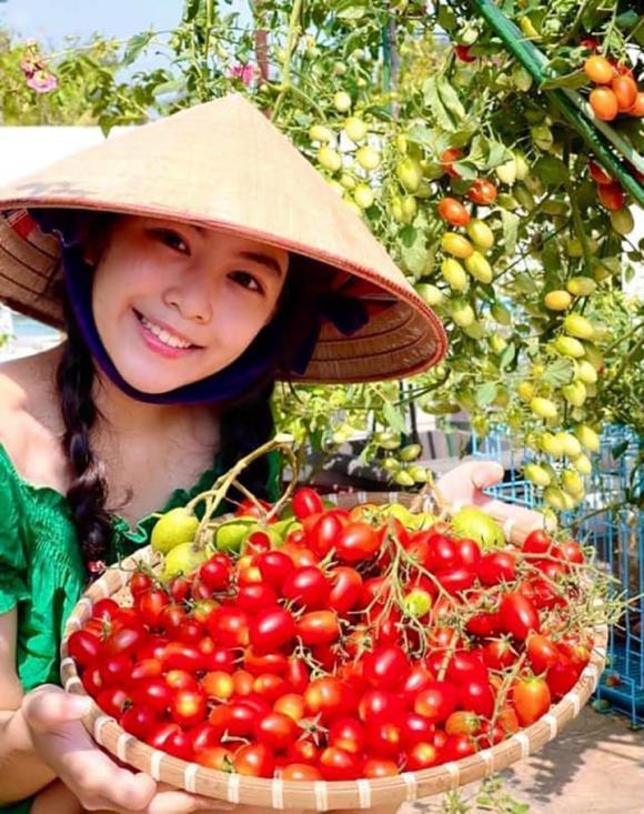 Vietnamese star ladies have the ability to become future Miss-1