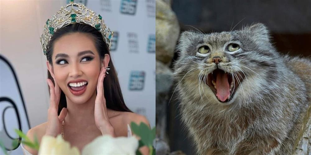 A series of photos that can't hold back the laughter of Miss Thuy Tien-20