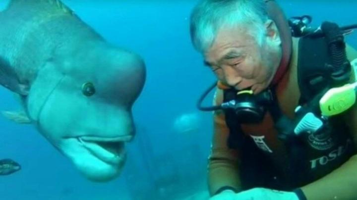 Tình bạn khó tin kéo dài suốt 30 năm của cụ ông và 1 chú cá-2