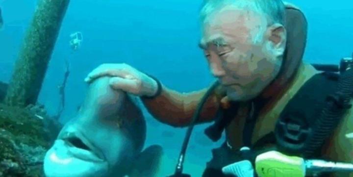 Tình bạn khó tin kéo dài suốt 30 năm của cụ ông và 1 chú cá-3