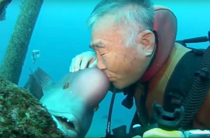 Tình bạn khó tin kéo dài suốt 30 năm của cụ ông và 1 chú cá-7