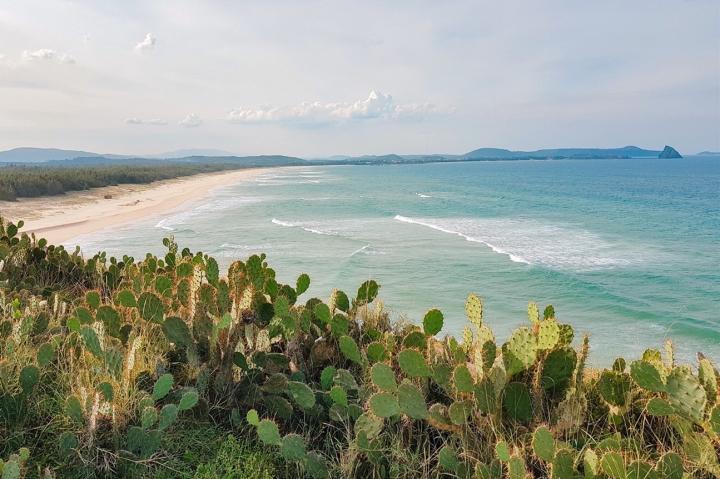 Cactus garden facing the sea - check-in point for this summer-1